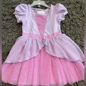 Taylor Joelle Size 2 Princess Sofia the First dress